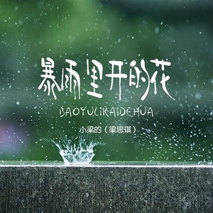 暴雨里开的花 (DJ Eva版) - 小梁的（梁思琪）