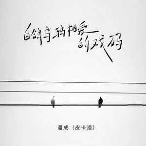 白鸽乌鸦相爱的戏码 - 潘成（皮卡潘）