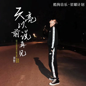 天亮以前说再见 - 何野