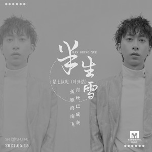 半生雪 - 七叔（叶泽浩）