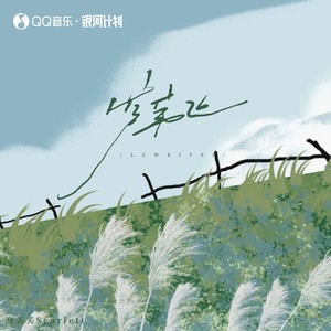 芦苇飞 - 泡芙芙Scarlett