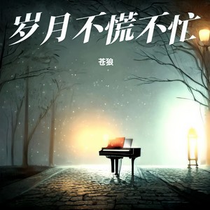 岁月不慌不忙 - 苍狼