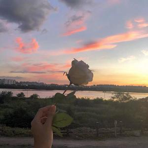 Thank You - L.Chen
