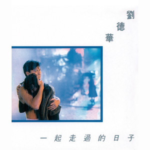 一起走过的日子 - 刘德华