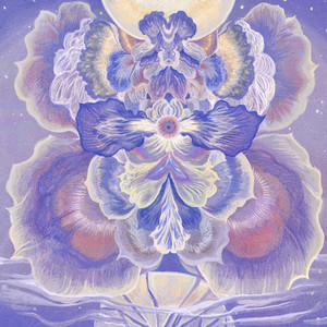 镜花水月 - 张真源