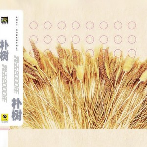 NEW BOY - 朴树