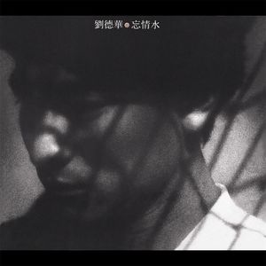 忘情水 - 刘德华
