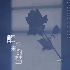 醒不来的梦 - 拾贰