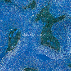 新宝島 - sakanaction