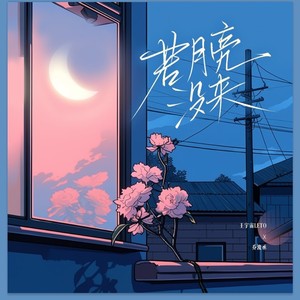 若月亮没来 (若是月亮还没来) - 王宇宙Leto