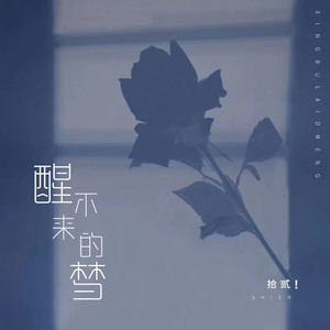 醒不来的梦 - 拾贰