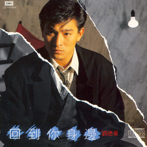 真真假假 - 刘德华