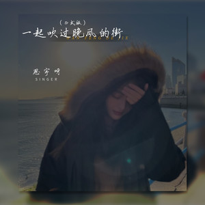 一起吹过晚风的街 - 思宇呀