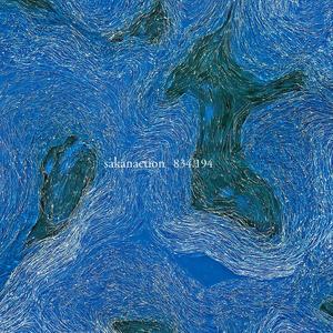 新宝島 - sakanaction