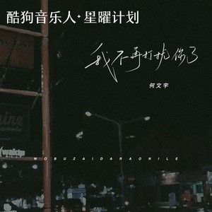 我不再打扰你了 - 何文宇