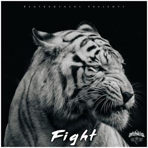 Fight - BeatBrothers