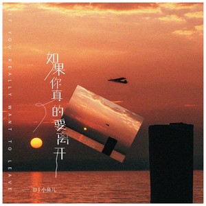 如果你真的要离开 (DJ版) - DJ小鱼儿